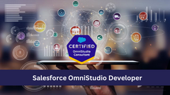 Salesforce OmniStudio Developer